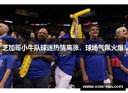 芝加哥小牛队球迷热情高涨，球场气氛火爆！